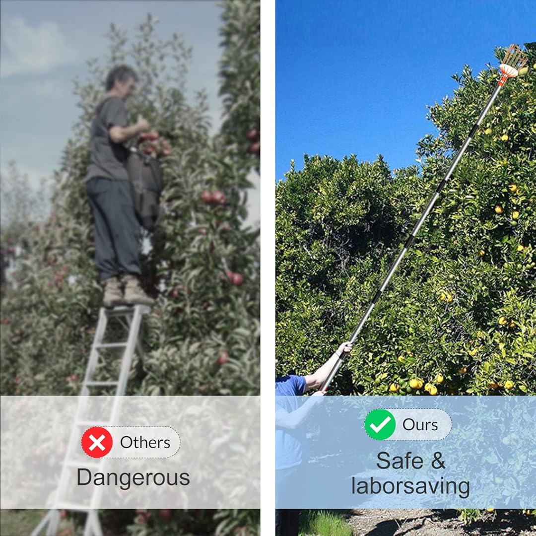 Fruit Picker Tool