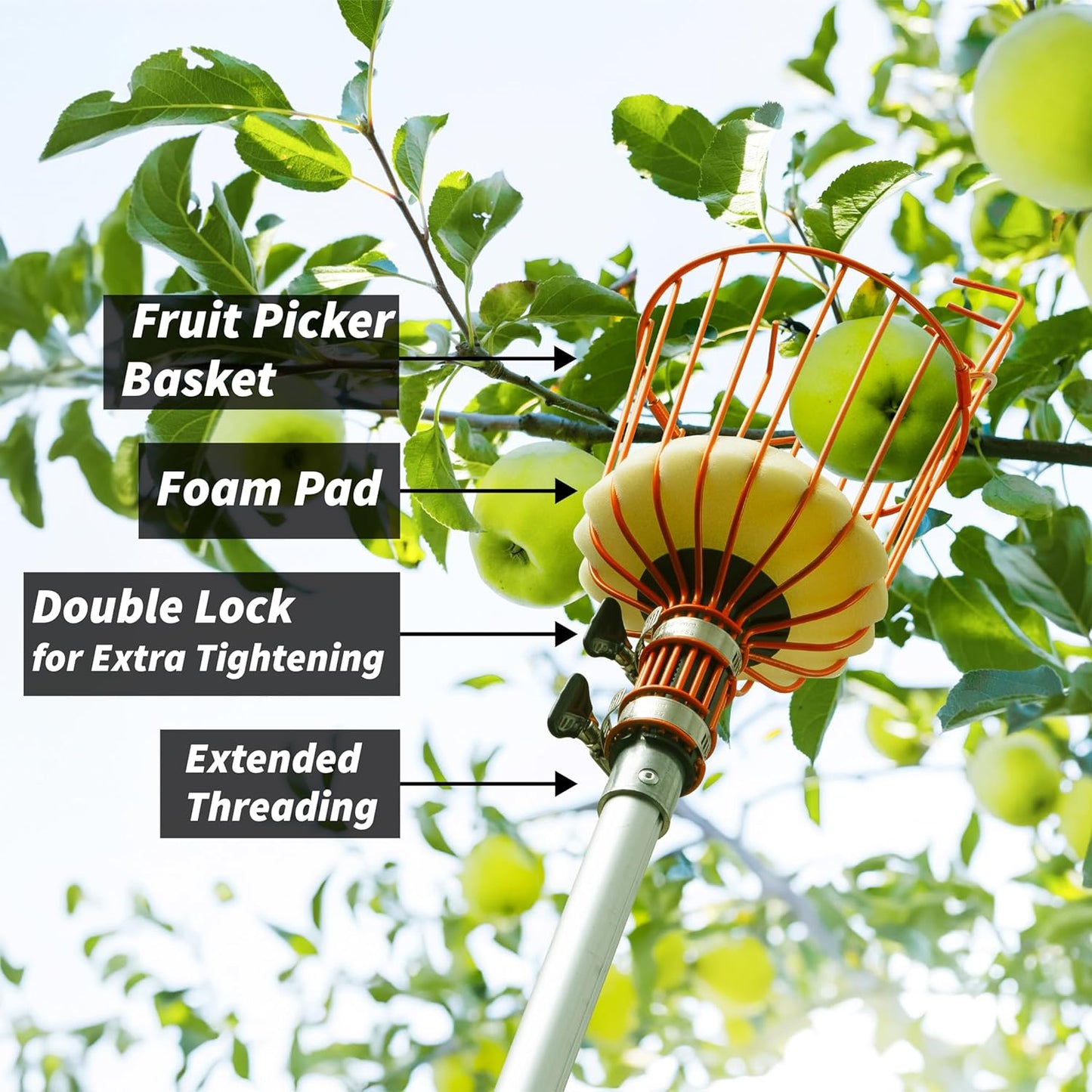 Fruit Picker Tool