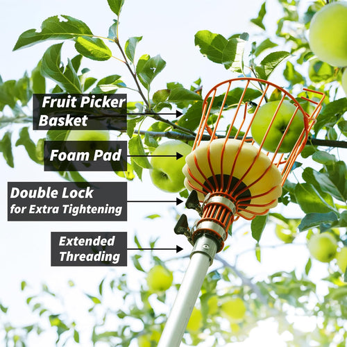 Fruit Picker Tool